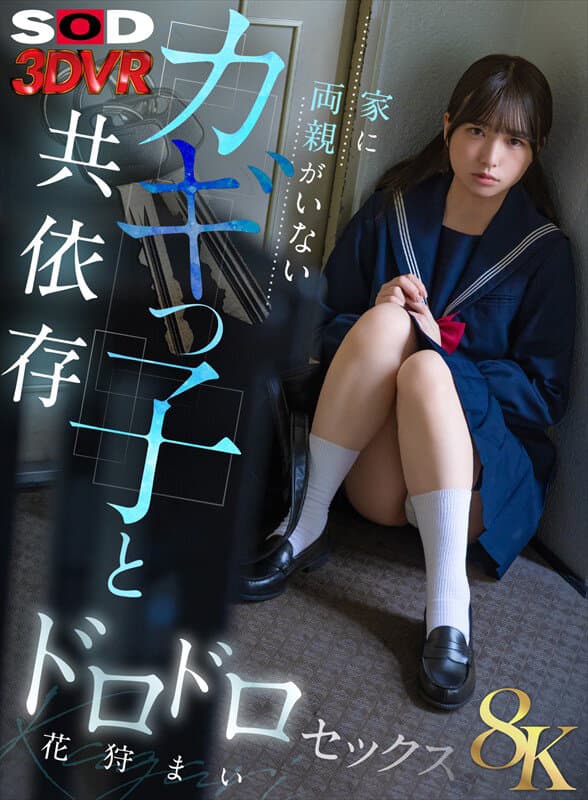 DSVR-1832 【VR】【8K】孤独邻居的错乱依存之恋 花狩真衣