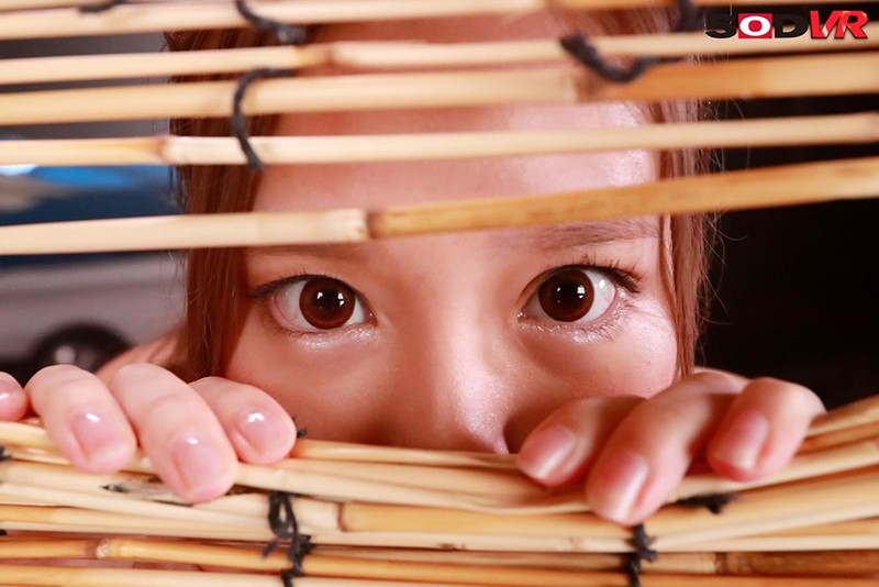 DSVR-796 [VR] [密室储物柜中的VR]当你独自进入令和婊子泳装gal和海边房子的[储物柜内]时，你会在可以呼吸的距离’5厘米处不由自主地勃起亲吻’……门外我有一个洋基男朋友……