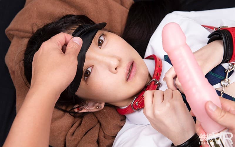 TPVR-163 [VR] HQ60fps 少女●生绑架坐月子 我把一个漂亮女孩关在肮脏的房间里 小耻辱的记录