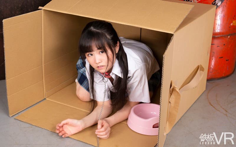 TPVR-154 [VR] HQ60fps J ● 瓦楞纸月子的记录 可耻的恶魔SEX深深地拧进了一个讨厌和横冲直撞的美丽女孩的喉咙
