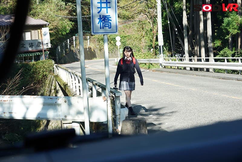 DSVR-619 [VR] [追踪视点] 少女●生绑架实力●VR