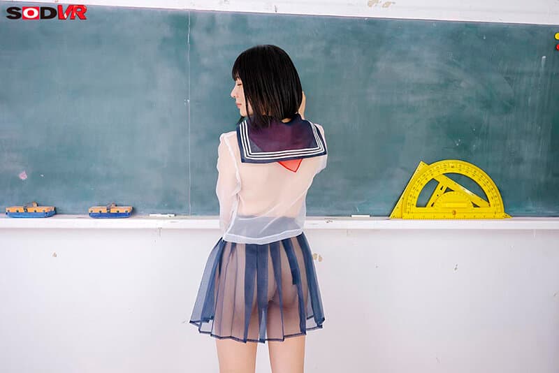 DSVR-1859 【VR】【8K】戴上透视眼镜后，衣服纤维深处一览无遗，校园生活尽收眼底，JK的青春发育一览无余。