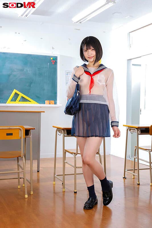 DSVR-1859 【VR】【8K】戴上透视眼镜后，衣服纤维深处一览无遗，校园生活尽收眼底，JK的青春发育一览无余。