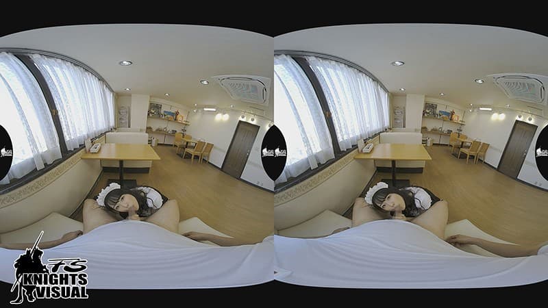 FSVR-014 【VR】3DVR 本サロレストラン6 宮沢ちはる