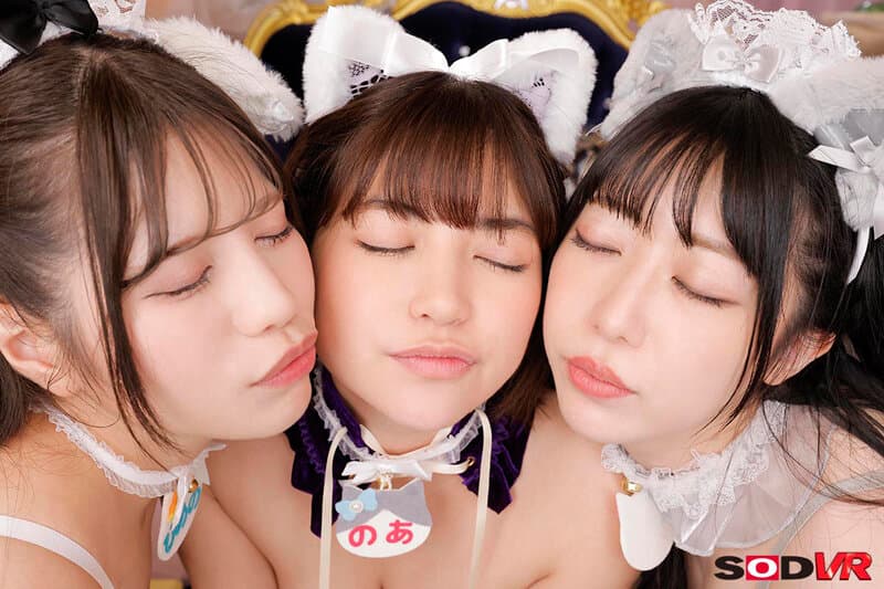 DSVR-1525 【VR】去猫咖啡厅竟然遇到猫娘！？～被舔得欲罢不能的自由放纵喵喵后宫SEX～