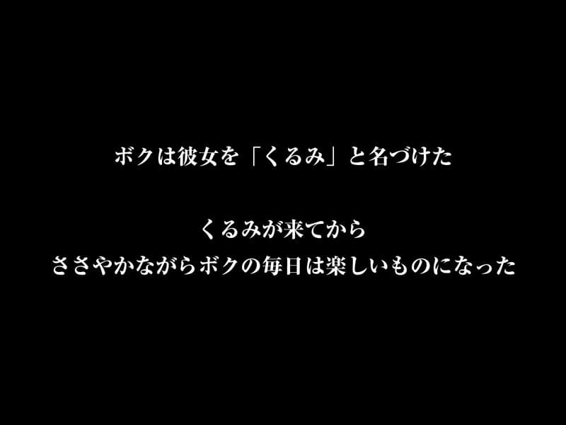 CRVR-379 【VR】【8KVR】DOLL 性爱专用玩偶 但愿这场梦永不醒来…自私的我和无力反抗的樱花的梦幻日常 胡桃樱