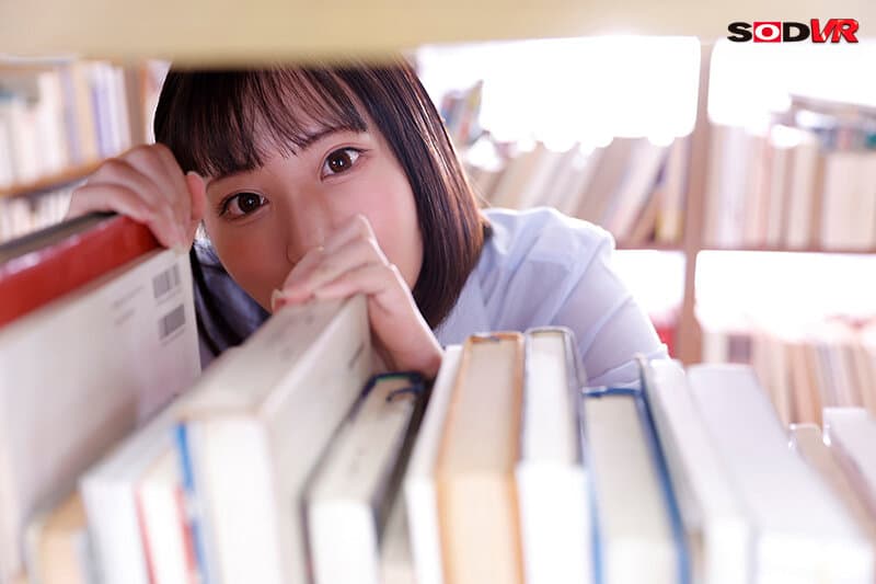 DSVR-1373【VR】「塾の時間までエッチしよ？」学業に忙しい生徒会長（カノジョ）の性処理サポート！？ 授業前、お昼休み、放課後、隙あらばとにかくイキたい生徒会長にハメられっぱなしのボク 日向ひかげ