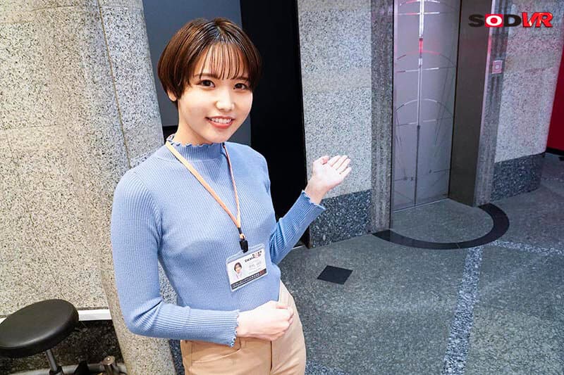 DSVR-1325 柴崎はる在 SOD 柴崎はる Hospitality 的第二年，为我们的用户提供最好的美容护理