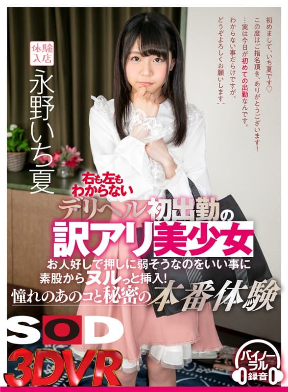 DSVR-497 [VR] 永野いち夏 不知道左右。德里赫鲁第一次出席的翻译。我向往的那个女孩和秘密的制作经历