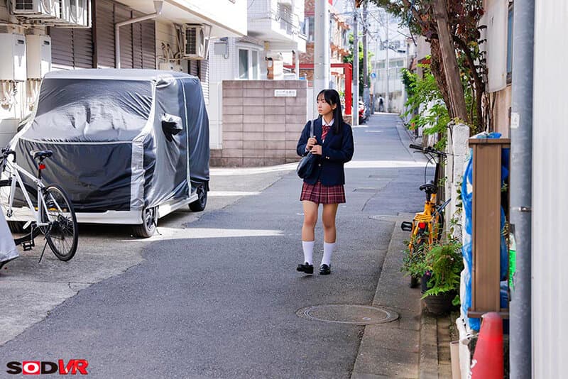 DSVR-1931 【VR】【8K】乖巧清纯女学生被跟踪侵入家中多次强奸