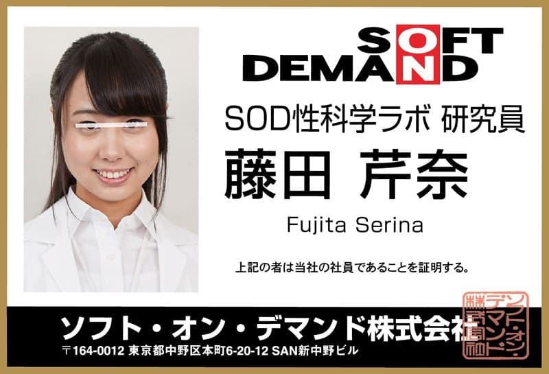 DSVR-244 【VR】SOD女员工6天真新女员工6性爱特辑4训练VR 250分钟特辑【高感度调查/性教育/演员访谈/刷机训练】