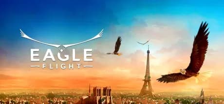 飞鹰（Eagle Flight）