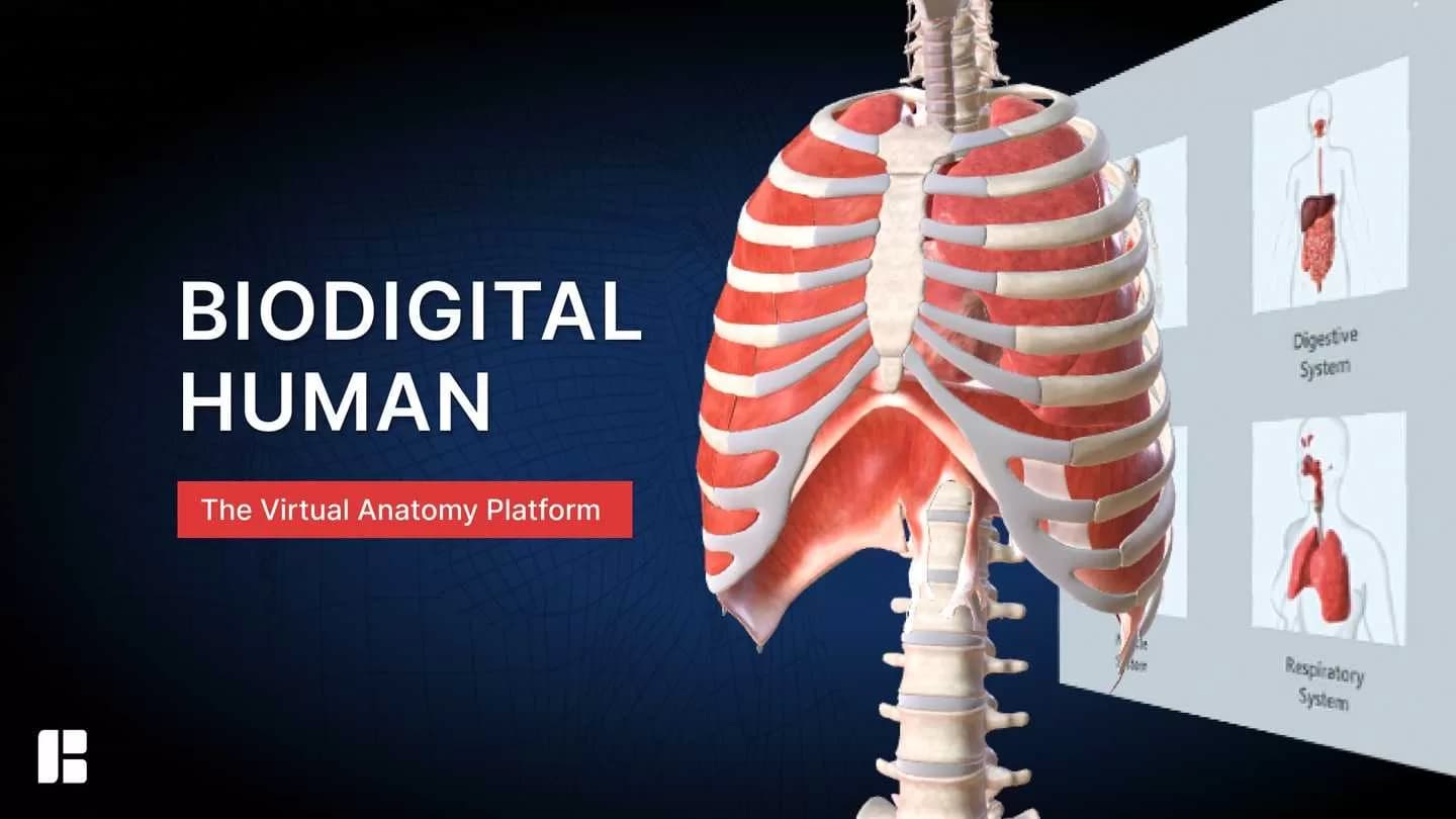 Oculus Quest 游戏《生物数字人》BioDigital Human
