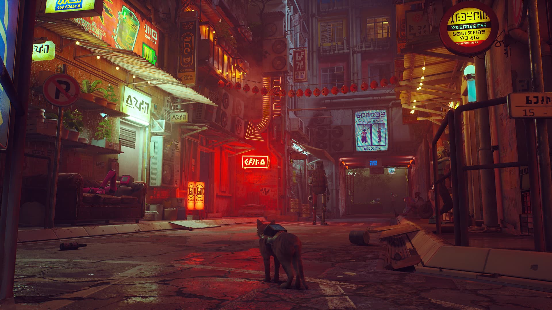 流浪猫（Stray）