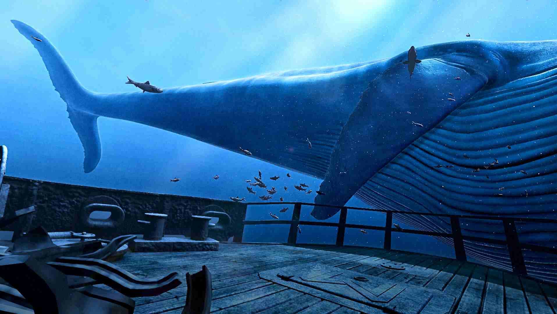 深蓝海底VR (The Blu)