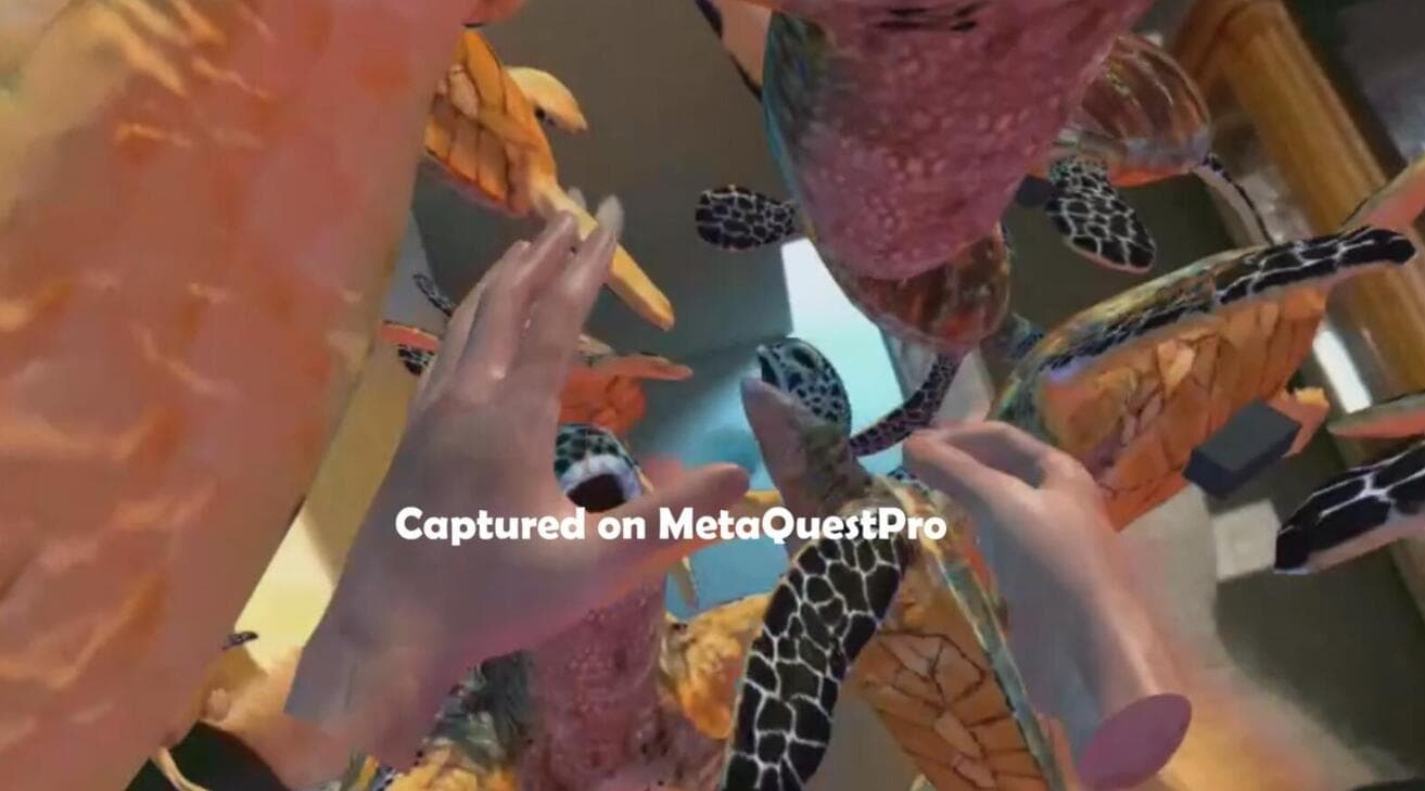 Oculus Quest 游戏《海洋世界》Ocean Passthrough