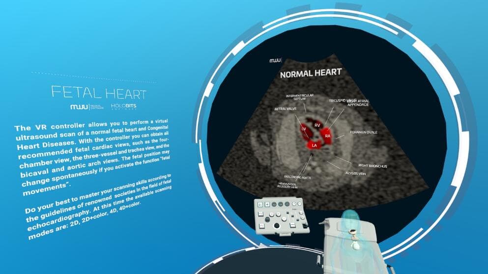 Oculus Quest 游戏《心脏病医学VR》Fetal Heart VR 汉化版（高速下载）
