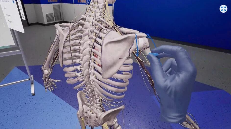 Oculus Quest 游戏《精密解剖学》BodyWorks Precision Anatomy 游戏截图