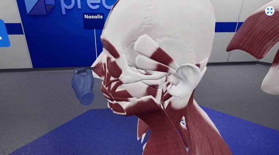 Oculus Quest 游戏《精密解剖学》BodyWorks Precision Anatomy 游戏截图