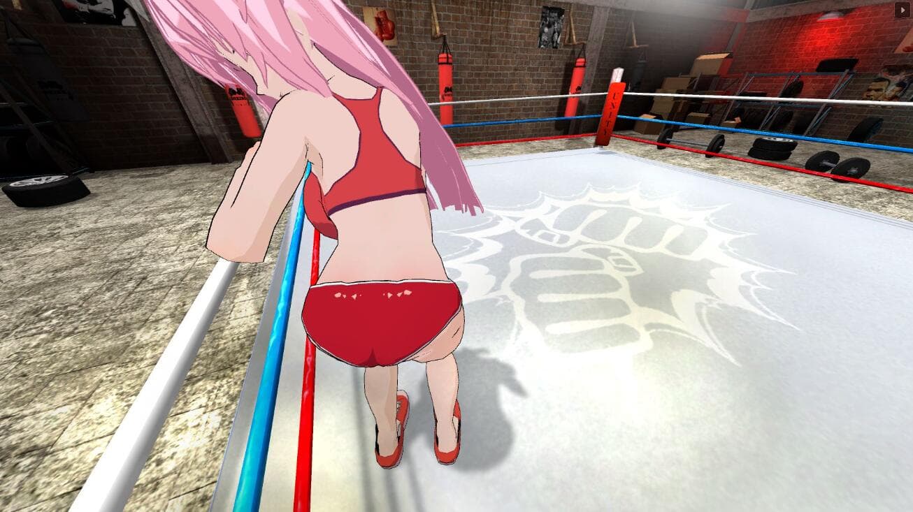 Oculus Quest 游戏《无尽战士》Hentai Fighters VR