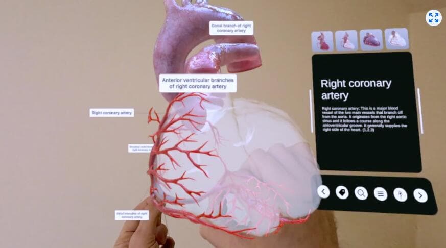 Oculus Quest 游戏《XR心脏解剖》XR Heart Anatomy
