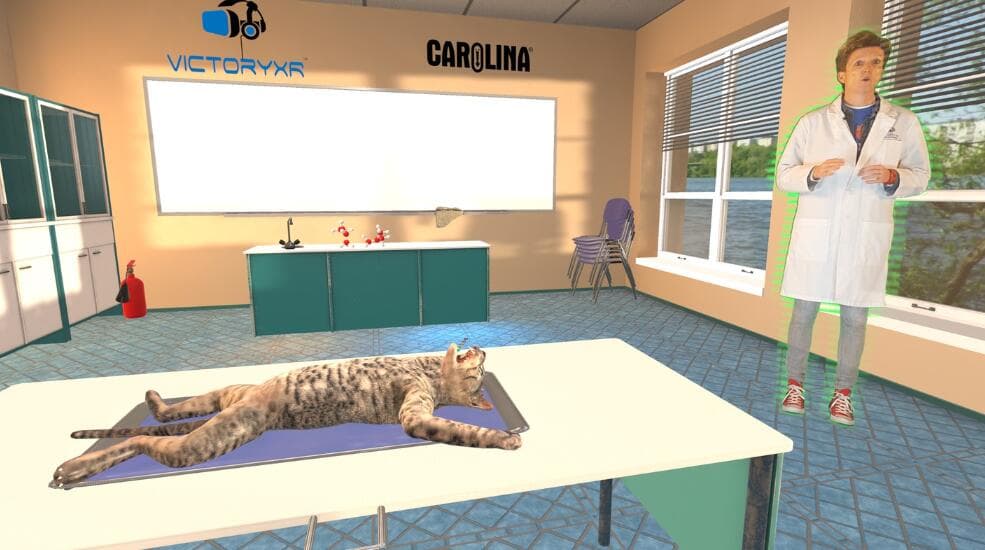 Oculus Quest游戏《解剖模拟器VR猫科动物》Dissection Simulator – Cat Edition（高速下载）