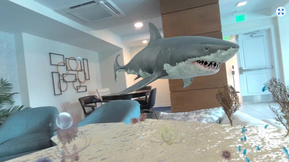 Oculus Quest 游戏《水族馆探险》Aquarium Adventures