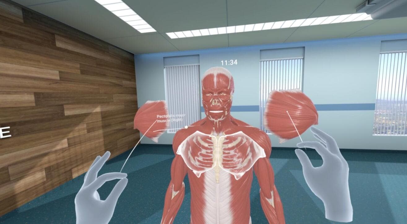 Oculus Quest 游戏《人体解剖学VR》Human Anatomy VR
