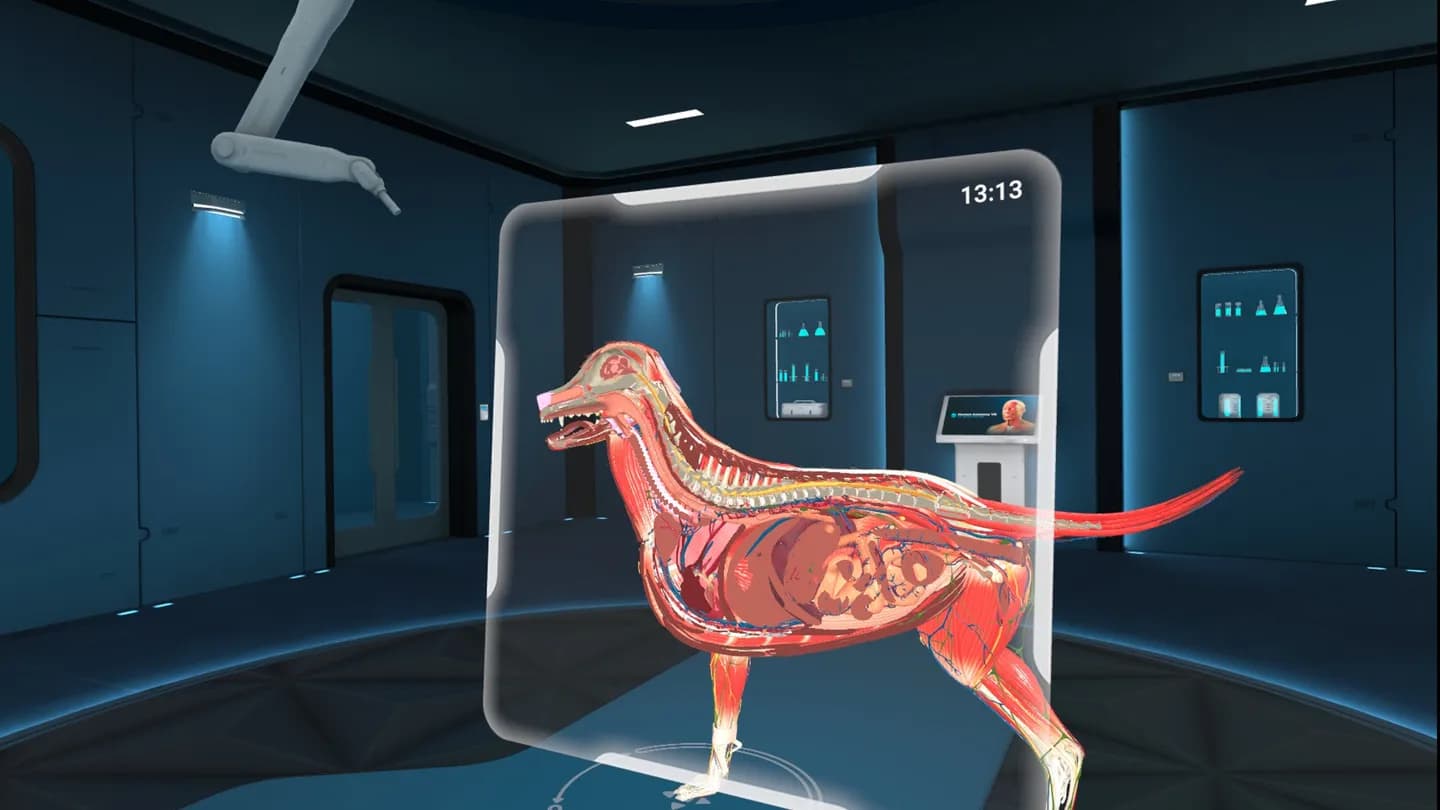 Meta Quest 游戏《动物解剖学XR》Animal Anatomy XR