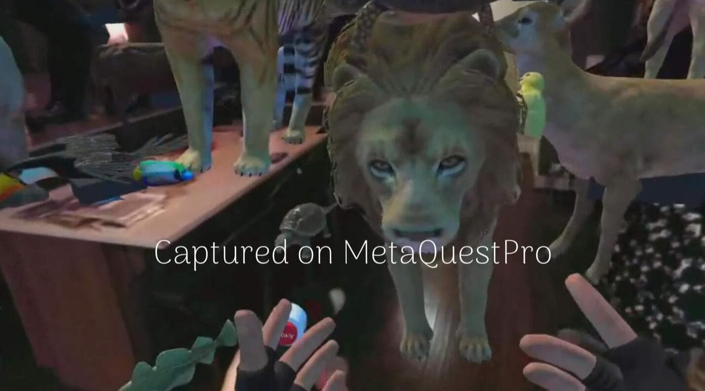 Oculus Quest 游戏《动物混合现实》Animalz Mixed Reality