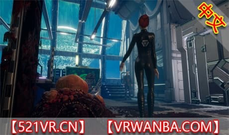 Steam串流游戏《协议VR》Protocol VR（免费下载）