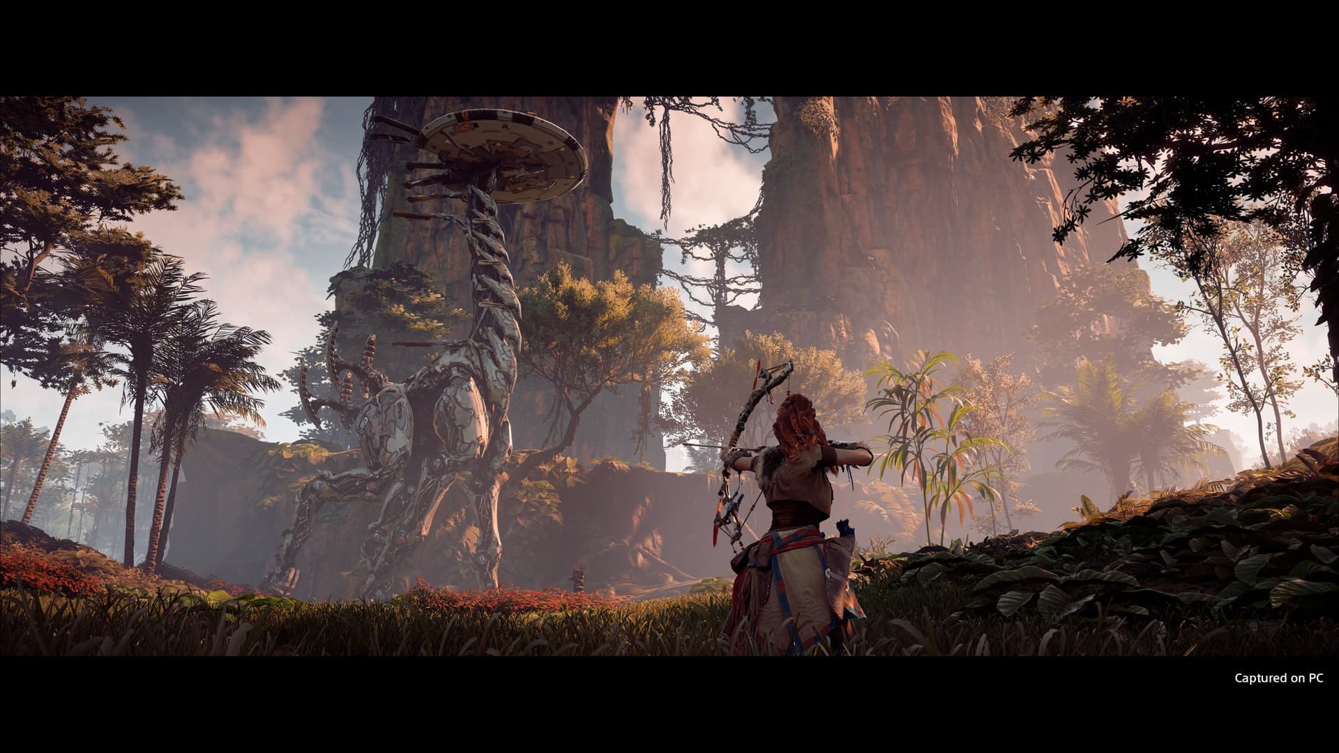 Steam串流游戏《地平线:零之黎明》全DLC解锁版 中文版 Horizon Zero Dawn? Complete Edition