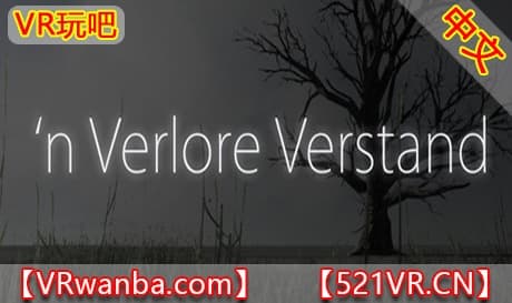 Steam串流游戏《混乱梦境VR》’n Verlore Verstand（免费下载）
