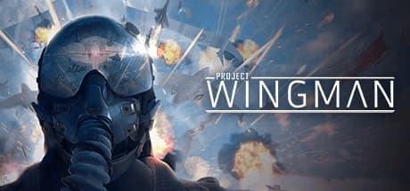 Steam串流游戏《翼人计划VR》Project Wingman
