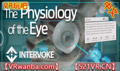 Steam串流游戏《眼睛生理学VR》The Physiology of the Eye（免费下载）