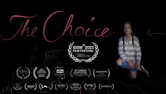 Steam串流游戏：《选择VR》The Choice VR ??VR（免费下载）