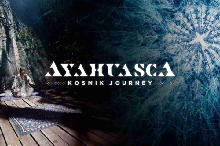 Steam串流游戏《死藤水VR》Ayahuasca（免费下载）