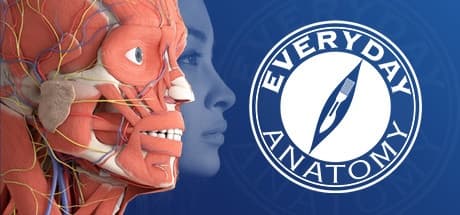 Steam串流游戏《日常解剖VR》Everyday Anatomy VR(免费下载) 游戏截图
