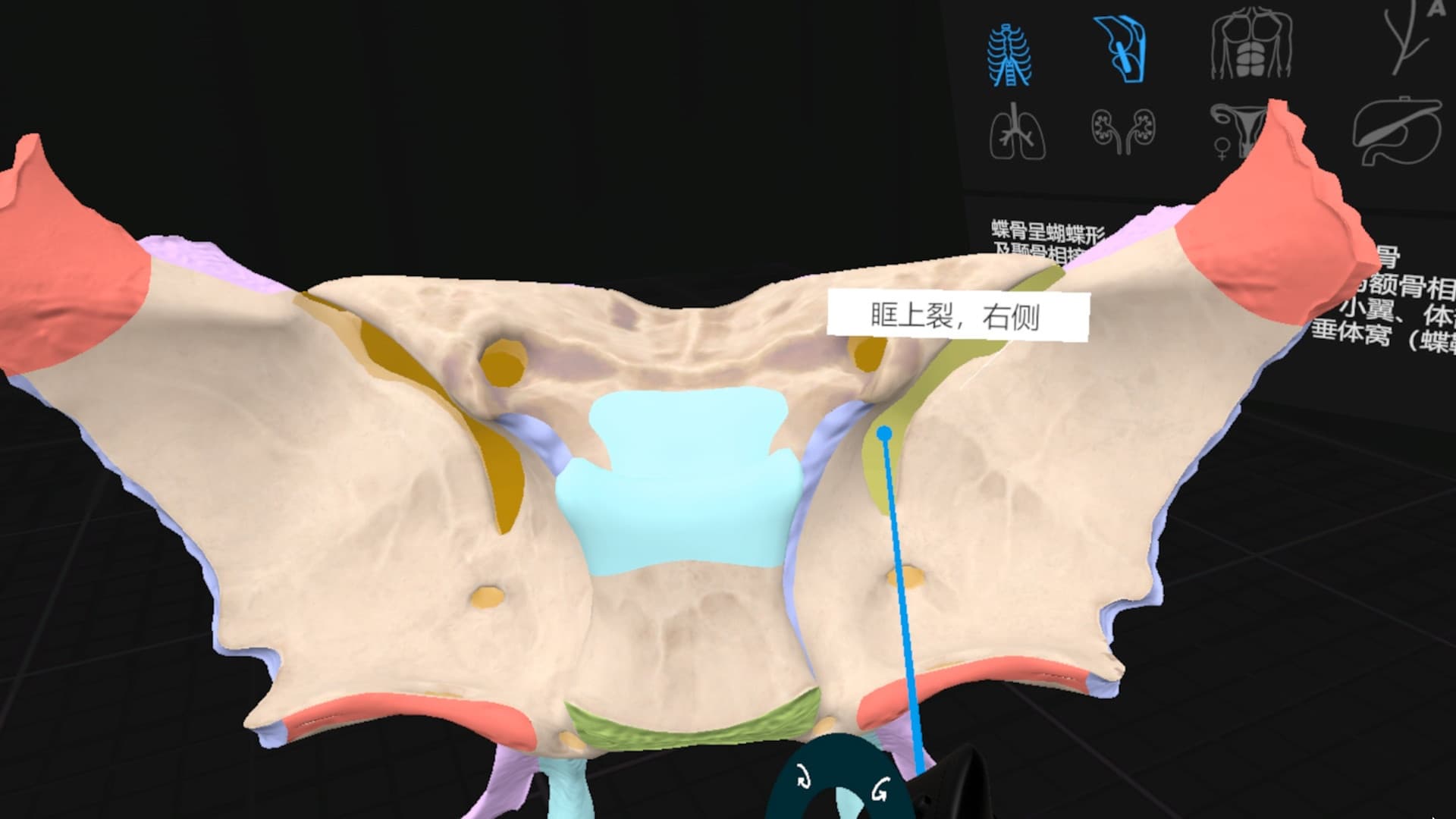 Steam串流游戏《日常解剖VR》Everyday Anatomy VR(免费下载) 游戏截图