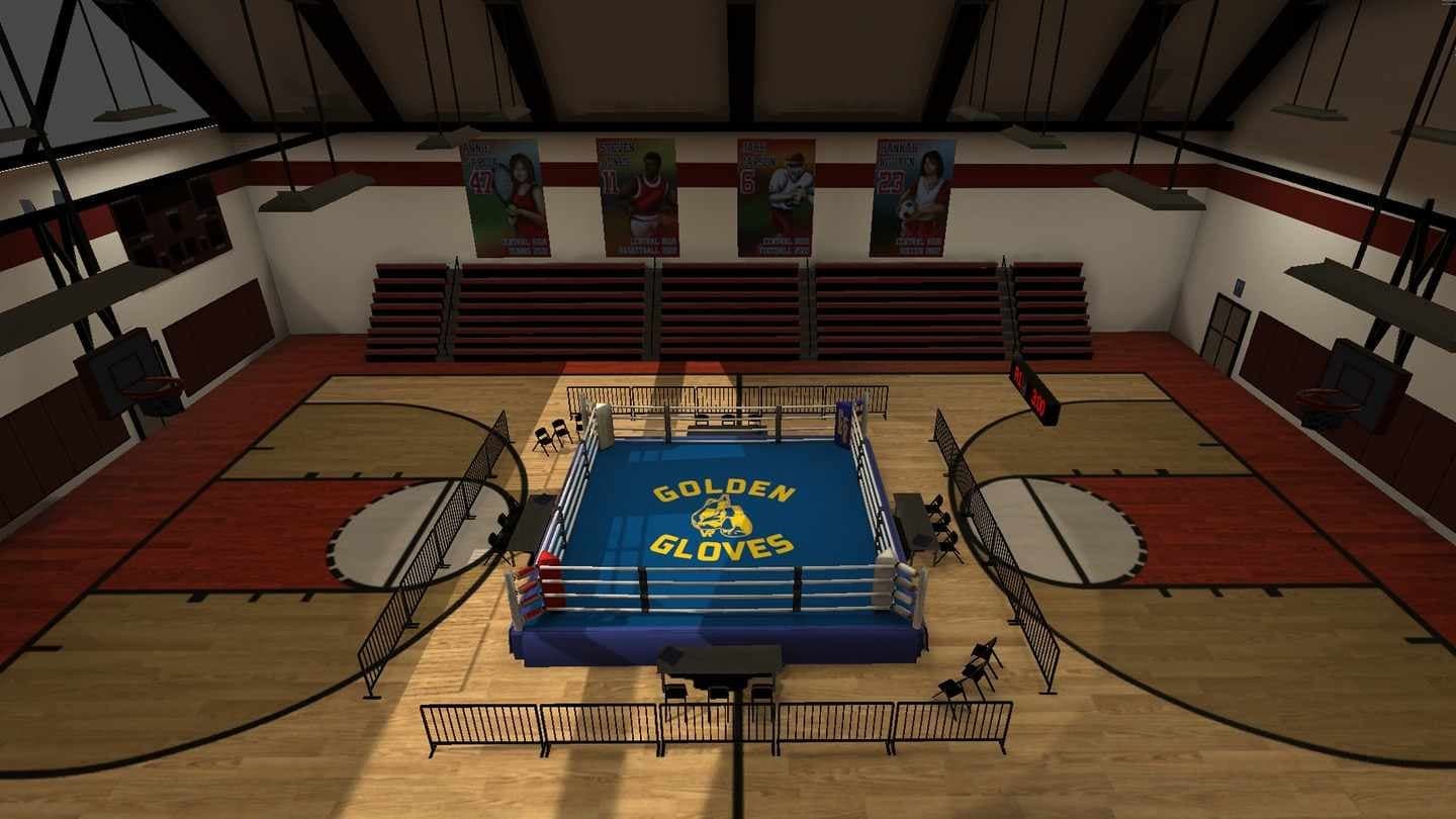 Steam串流游戏《金手套VR》Golden Gloves VR(免费下载) 游戏截图