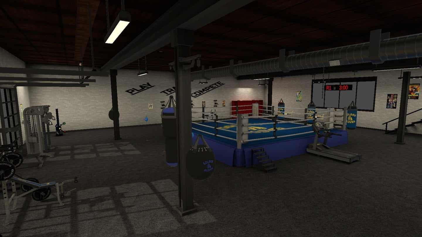 Steam串流游戏《金手套VR》Golden Gloves VR(免费下载) 游戏截图