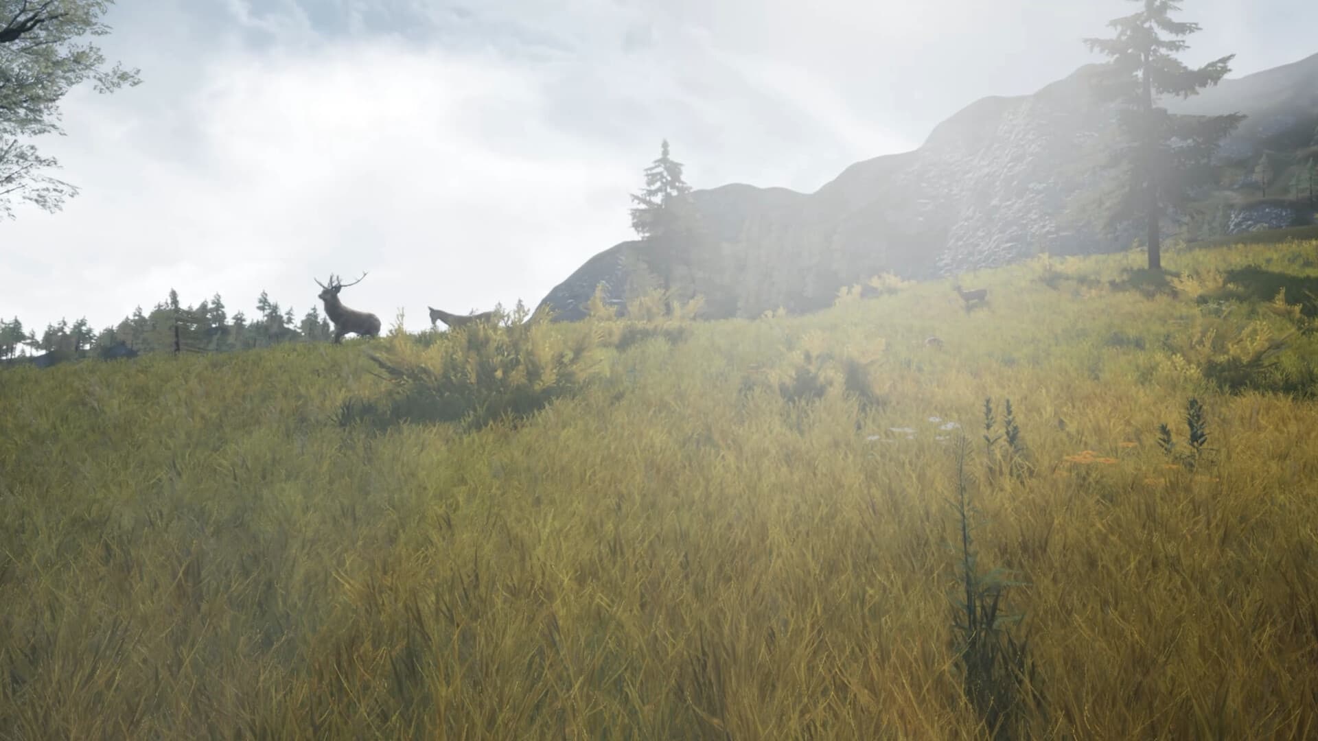 Steam串流游戏《龙山VR》DragonHill VR(免费下载) 游戏截图