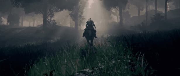 Steam串流游戏《艾尔登法环|官方中文 VR》Elden Ring VR(免费下载) 游戏截图