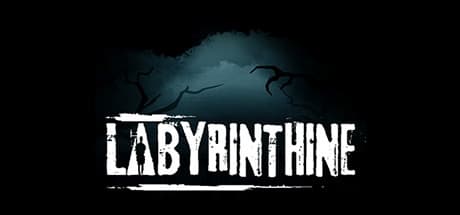 Steam串流游戏《迷宫VR》Labyrinthine VR 游戏截图
