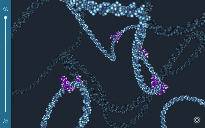 Steam串流游戏《人体查看器》C O S M(免费下载) 游戏截图