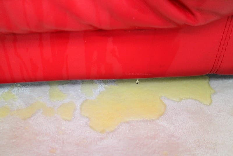 EXVR-161 【VR】オチ●ポ奴隷 女子●生！ 催眠術でエロエロぬぷぬぷ密着中出しSEX 悠月アイシャ