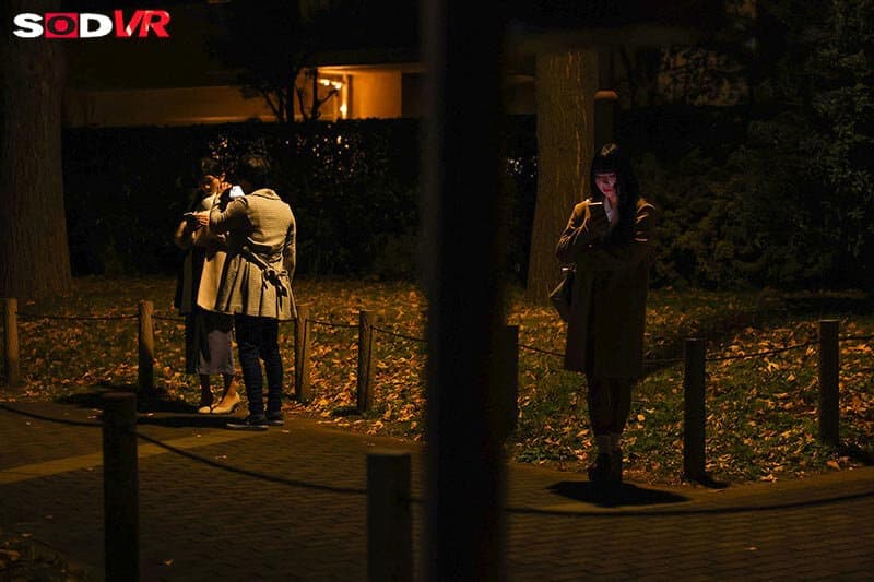 DSVR-1739     【VR】【8K】都内?大●●公園で立ちんぼしている奥さんに薬を盛ってキメセク撮影 散々中出ししまくった