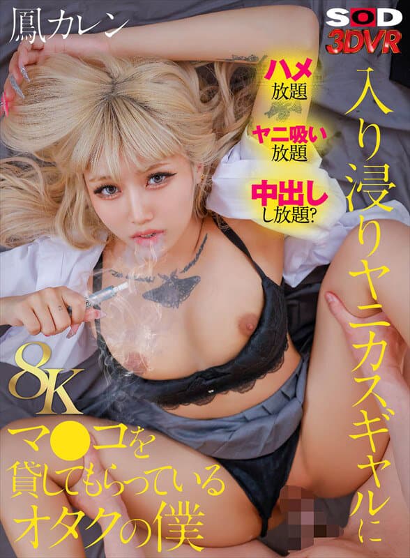 DSVR-1792  【VR】【8K】入り浸りヤニカスギャルにマ●コを貸してもらっているオタクの僕 鳳カレン