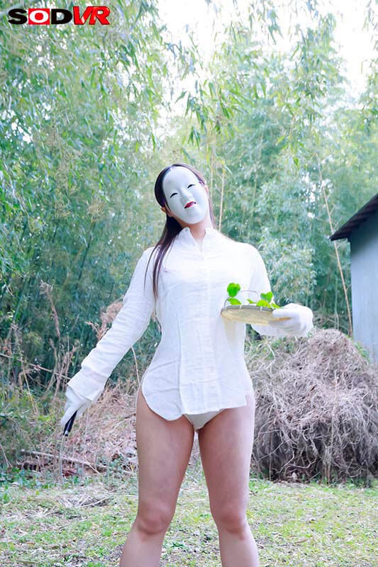 DSVR-1766  【VR】【8K】地図から消された村VR