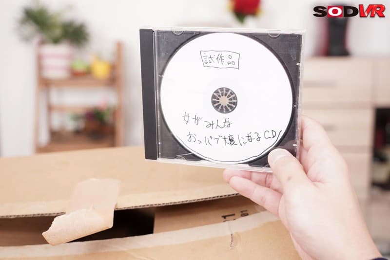 DSVR-441 【VR】女がみんなおっパブ嬢になるCDを手に入れた！